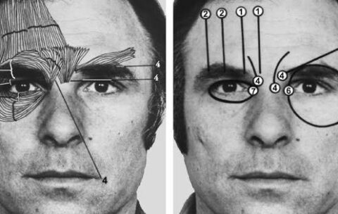 A Lie Detection Expert Explains How Your Mind Processes Faces And Lies