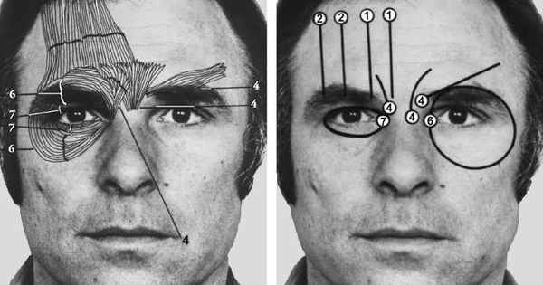 A Lie Detection Expert Explains How Your Mind Processes Faces And Lies